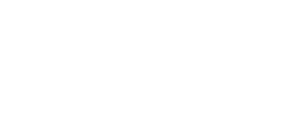 WSH Council
