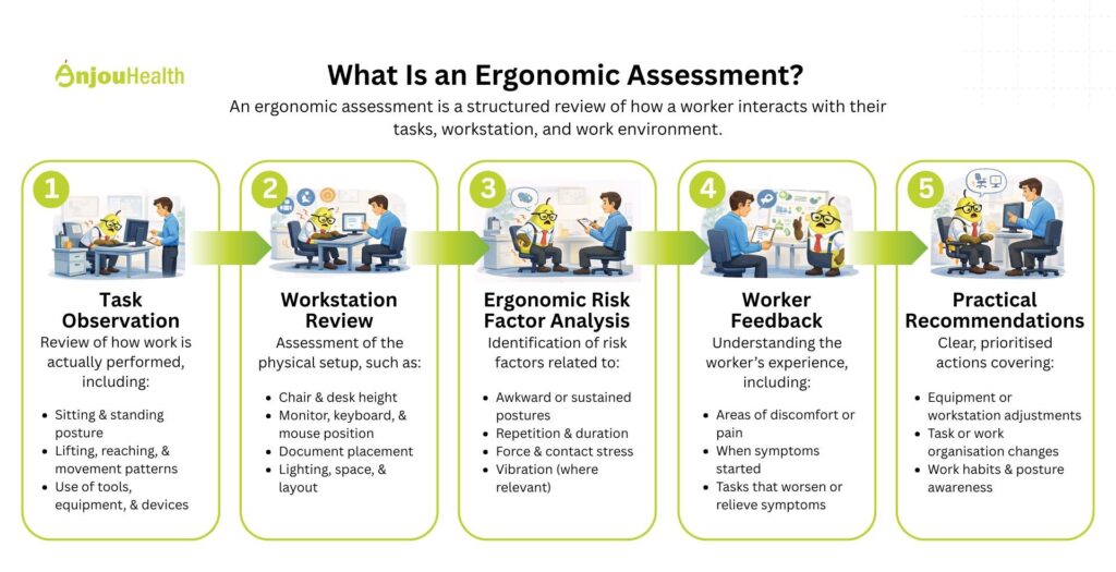 Workplace Ergonomics Singapore – ergonomic assessment process including task observation, workstation review, risk analysis, and recommendations