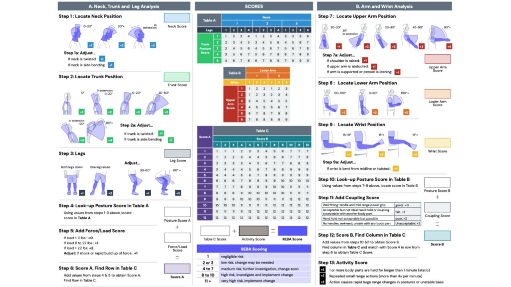 REBA Rapid Entire Body Assessment scoring chart used in workplace ergonomics risk assessment