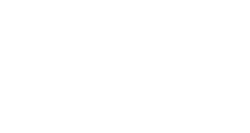 Bizstar square logo - white
